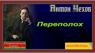 Переполох —Антон Чехов —читает Павел Беседин