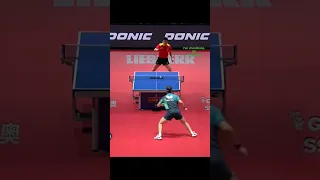 Fan Zhendong Vs Timo Boll