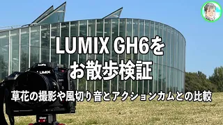 204日【花や緑を撮影】LUMIX GH6とVARIO-ELMARIT 8-18mmでお散歩【比較や検証もしてきました】