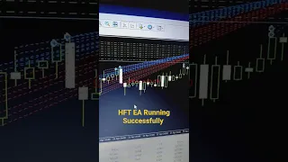 HFT EA Running on Real Account | High Frequency Trading #forex #forexea #ytshorts #tiktok #reels