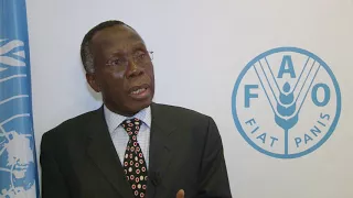 Remarks by Nigeria’s Agriculture and Rural Development Minister at FAO