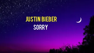 Sorry-Justin Bieber (lirik dan terjemahan)