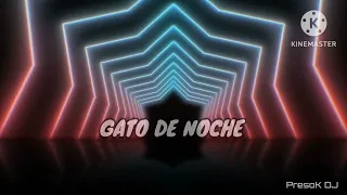 bad banny - gato de noche RKT (PresoK DJ)