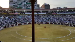 Talavante en el homenaje a Víctor Barrio en Valladolid