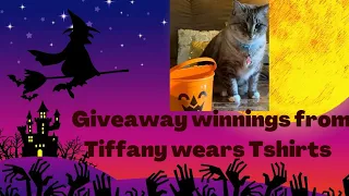 Me and my cats won a giveaway from @TiffanyWearsTShirts