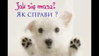 Як у Вас справи? Як Ви поживаєте? Що у Вас нового? Все це польською мовою !