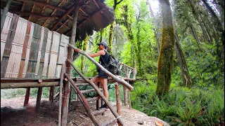 OFF GRID - The Girl Build all bushcraft Natural Shelter in the rainforest, Staircase, bamboo house