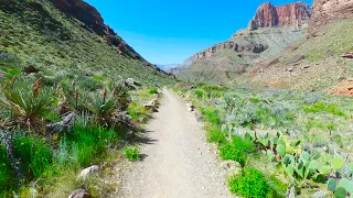 Grand Canyon Wall Creek to Phantom Ranch Hike/Run | Complete Trail POV