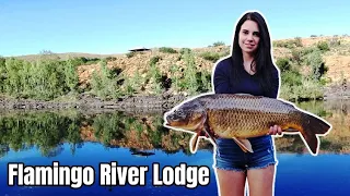 Flamingo's River Lodge - Hengel by Vaal Rivier - (Afrikaans)