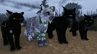 -"Коты воители клип: / Холодная Война. -игра: Warrior Cats Roblox
