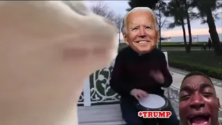 levan Polkka , Cat Vibing , Trump vs Biden