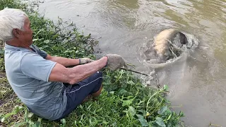 Amazing Grandpa Fishing Skills Defeated By 65KG Giant Fish