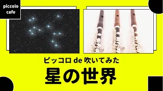 【ピッコロ】星の世界【演奏してみた】２重奏