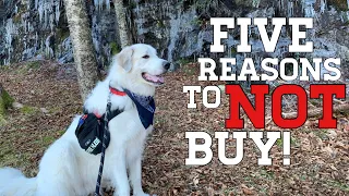 5 Reasons NOT to buy a Great Pyrenees