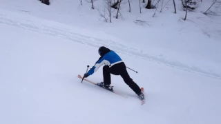 Новая техника спуска на горных лыжах.
