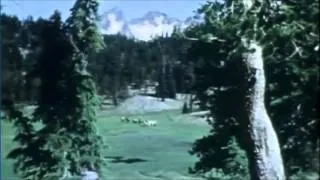 Sasquatch-High in the Mountains