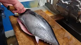 COOLETS Tuna Sashimi Cutting [Japanese Fish Filleting Skills]