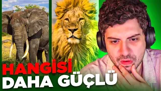 EN GÜÇLÜ HAYVAN HANGİSİ? | Ekiple Uwufufu | HYPE