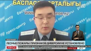 Лесные пожары: признаков диверсии не установлено