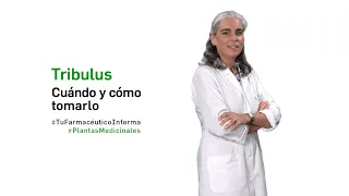 Tribulus, cuándo y cómo tomarlo  - Tu Farmacéutico Informa #PlantasMedicinales