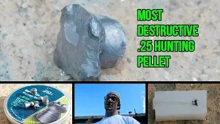 BEST .25 Cal PCP Air Rifle Hunting PELLET?!? H&N Hunter EXTREME Review!