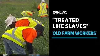 Australia's Pacific and seasonal worker schemes likened to modern slavery | ABC News