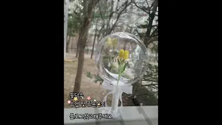 #꽃풍선#벌룬플라워#BalloonFlower