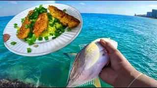 Catch And Cook JACK CREVALLE! Trash FISH - SUPRISING Outcome!