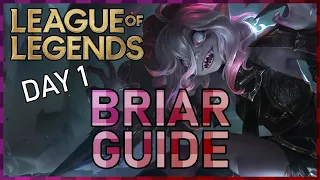 Day 1 Briar | Tips, Tricks, and Analysis
