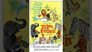 Zebra in the Kitchen | Plot | 1965 | Jay North, Martin Milner, Andy Devine, Joyce Meadows, Jim Davis