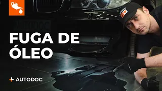 As 5 causas mais comuns de fugas de óleo | Dicas da AUTODOC