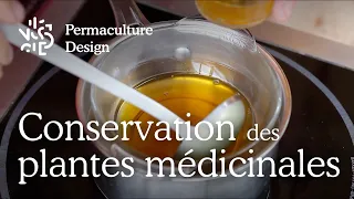 Les différentes formes d’utilisations des plantes médicinales