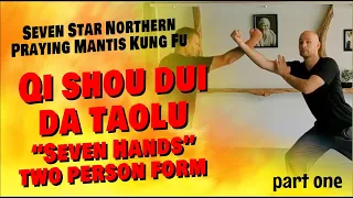 QI SHOU DUI DA | TAOLU 套路 2 PERSON PRAYING MANTIS KUNG FU FORM (PART ONE)