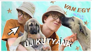 VAN EGY ÚJ KUTYÁNK 🐶❤️I WhisperTon