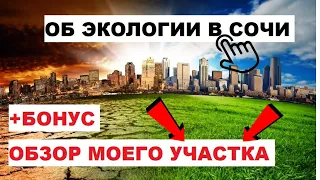 🚮ЭКОЛОГИЯ В СОЧИ 2019 🚮 / ПОЧЕМУ ЛЮДИ ПЕРЕЕЗЖАЮТ В СОЧИ? / ОБЗОР МОЕГО УЧАСТКА