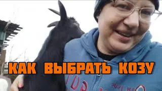 Как выбрать козу