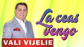 Vali Vijelie - La ceas vengo dibi dibi (Colaj Manele 2022)