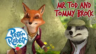 @Numberblocks - Mr Tod and Tommy Brock 🦊 🦡 | Cartoons for Kids