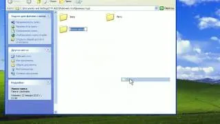 Основы работы на ПК   WindowsXP   19  Создание папок  Практика