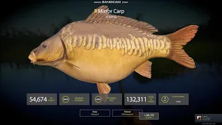 Russian Fishing 4 l Bear Lake l 2x Carp Trophies !!