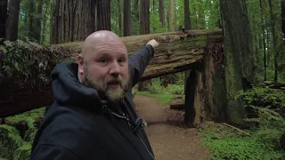 I Stopped By Endor! | Star Wars ROTJ Shooting Location at Cheatham Grove