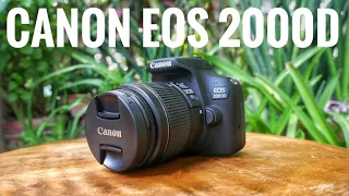 Review Canon EOS 2000D / Rebel T7 esta es la cámara más vendida del mundo ¿aún vale la pena en 2021?