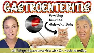 Pets With Vomiting, Diarrhea, or Abdominal Pain? May be Gastroenteritis