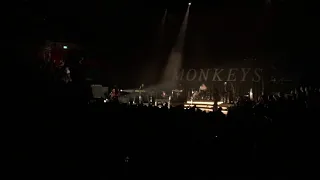 Arctic Monkeys - Star Treatment [ LIVE DEBUT ] @ Royal Albert Hall / London