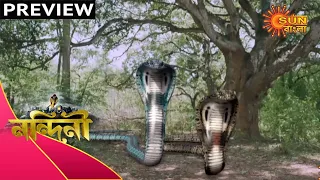Nandini - Preview | 16 November 2020 | Sun Bangla TV Serial | Bengali Serial