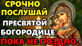 СРОЧНО ВКЛЮЧИ ЭТУ МОЛИТВУ БОГОРОДИЦЕ ПОКА НЕ ПОЗДНО! Сильная Молитва Богородице! Православие