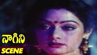 Sridevi Converting In Snake Scene || Naagini Telugu Movie || Rishi Kapoor, Sri Devi