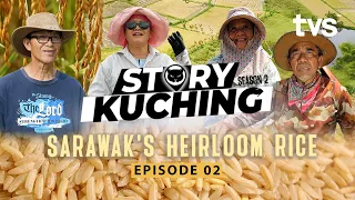 Sarawak's Heirloom Rice | Story Kuching Season 2 | TVS Entertainment