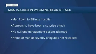 Man injured in Wyoming grizzly bear attack