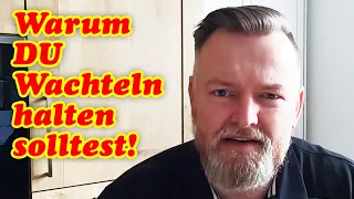 Warum DU Wachteln halten SOLLTEST! Wachtelhaltung für Anfänger - Sind Wachteln die besseren Hühner?